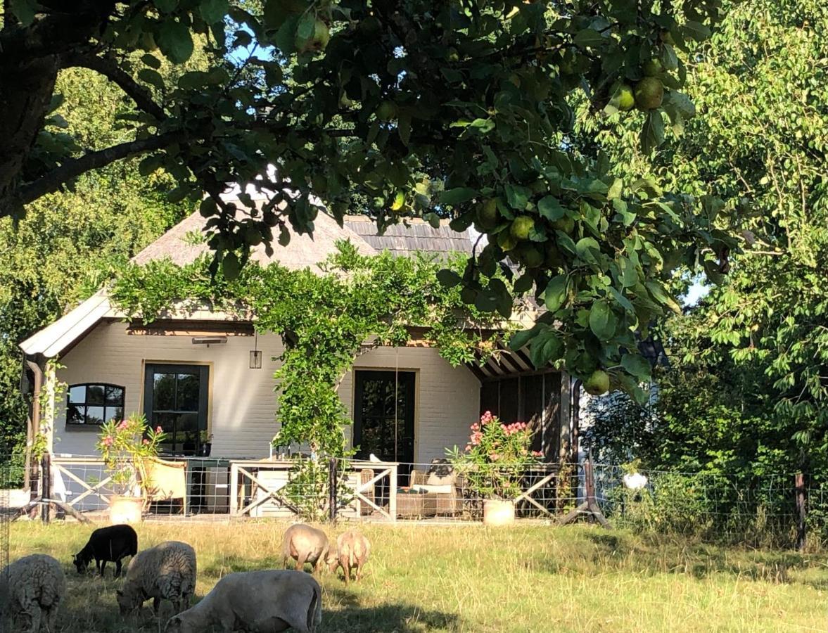 Het Buitengebied Empe Exterior foto